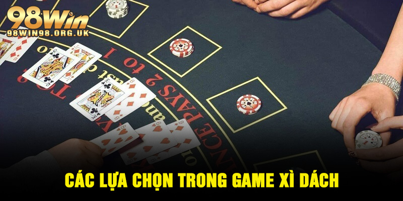 Cách chơi xì dách và các lựa chọn trong game